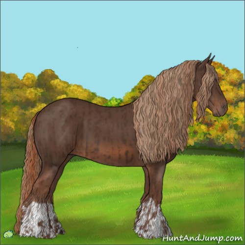 Horse Color:Liver Chestnut  and Liver Chestnut 
