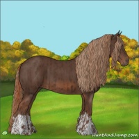 Horse Color:Liver Chestnut  and Liver Chestnut 