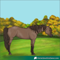 Horse Color:Liver Red Dun 