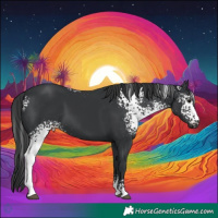 Horse Color:White Spotted Black