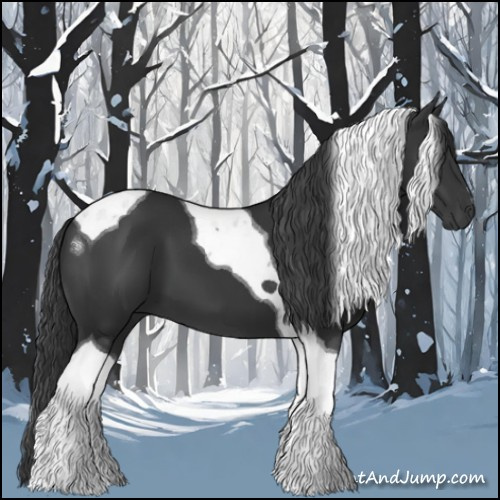 Horse Color:Black Tobiano 