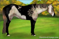 Horse Color:Void Plaid  Blue Onyx Pearl Tobiano Rabicano 