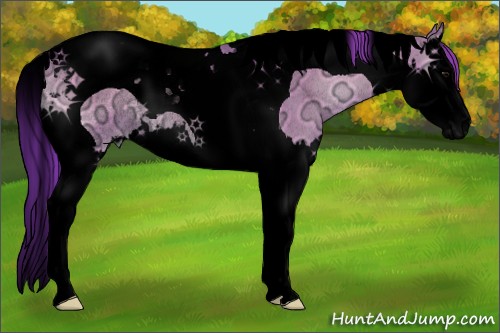 Horse Color:Void Watercolor Smoky Grullo Ice Onyx Splash Tobiano Rabicano 