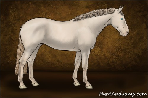 Horse Color:Smoky Creme Dun 