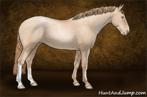 Horse Color:Gold Champagne Pearl Rabicano  and Gold Champagne Pearl Rabicano 