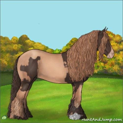 Horse Color:Liver Chestnut  and Gold Champagne 