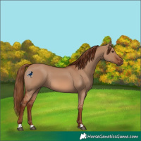 Horse Color:Red Dun