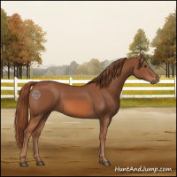 Horse Color:Chestnut 