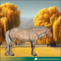Horse Color:Chocolate Palomino Roan