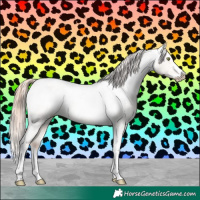 Horse Color:Gold Champagne Roan Dun Splash Tobiano Frame Varnish Rabicano 