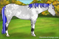 Horse Color:Painted White Spotted Silver Grullo Chinchilla 