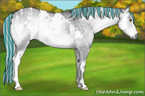 Horse Color:Painted White Spotted Silver Smoky Grullo Chinchilla Onyx Rabicano