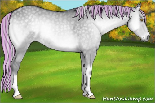 Horse Color:Painted Silver Grullo Chinchilla Onyx 