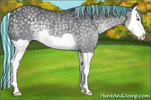 Horse Color:Painted Silver Black Chinchilla Splash Rabicano