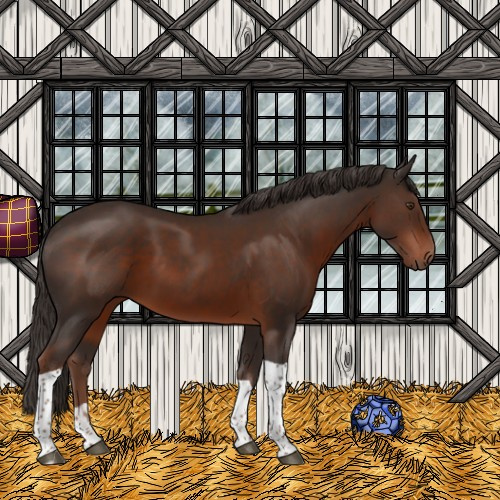 Horse Color:Liver Chestnut Sabino Tobiano 