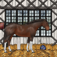 Horse Color:Liver Chestnut Sabino Tobiano 