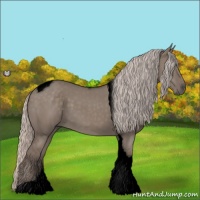 Horse Color:Void Silver Grullo Tobiano 