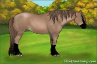 Horse Color:Void Black Pearl Splash 