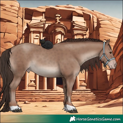 Horse Color:Classic Champagne 