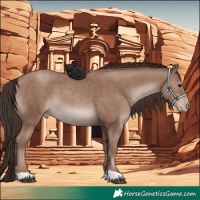 Horse Color:Classic Champagne 