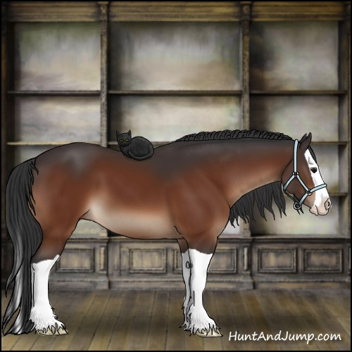 Horse Color:Brown Splash 