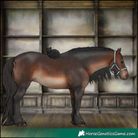 Horse Color:Brown 