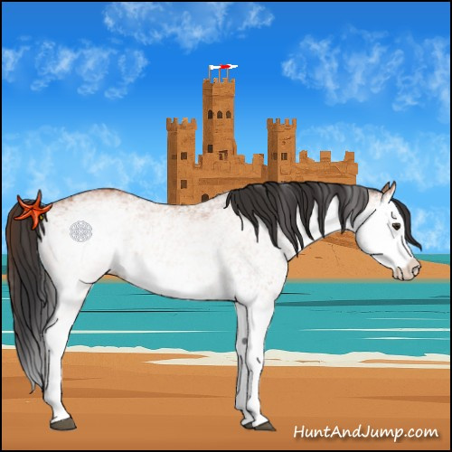 Horse Color:White Spotted Bay Splash  and White Spotted Bay Splash 