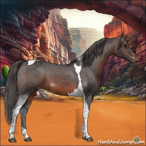 Horse Color:Brown Tobiano Varnish 