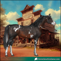 Horse Color:White Spotted Brown Sabino Splash 
