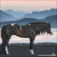 Horse Color:Brown Sabino Splash Tobiano Rabicano