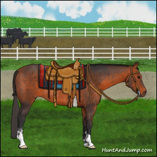 Horse Color:Bay Sabino Rabicano 