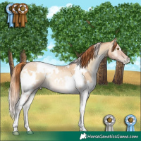 Horse Color:White Spotted Smoky Blue Onyx Roan Pearl 