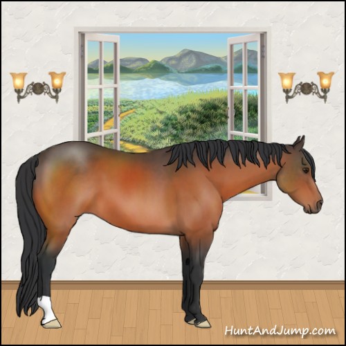 Horse Color:Brown 