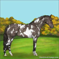 Horse Color:White Spotted Brown Dun Mushroom Snowflake Varnish 