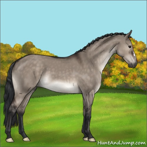 Horse Color:Brown Dun Mushroom 