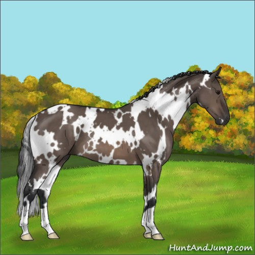 Horse Color:White Spotted Brown Dun Mushroom