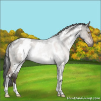 Horse Color:White Spotted Brown Roan Dun Mushroom 