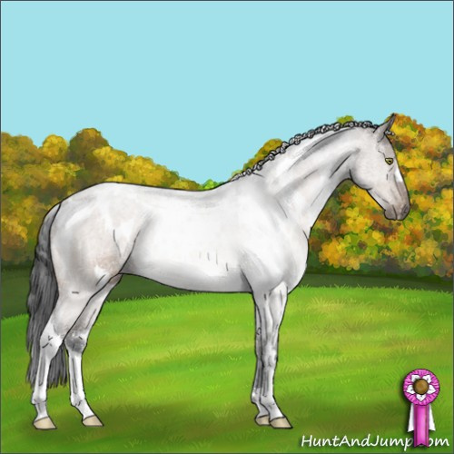 Horse Color:White Spotted Brown Dun Mushroom 