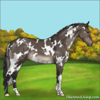Horse Color:White Spotted Brown Dun Mushroom Varnish 