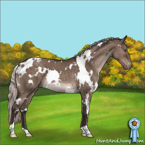 Horse Color:White Spotted Silver Brown Dun Mushroom Appaloosa 