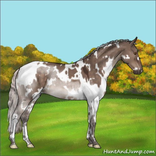 Horse Color:White Spotted Silver Brown Dun Mushroom 