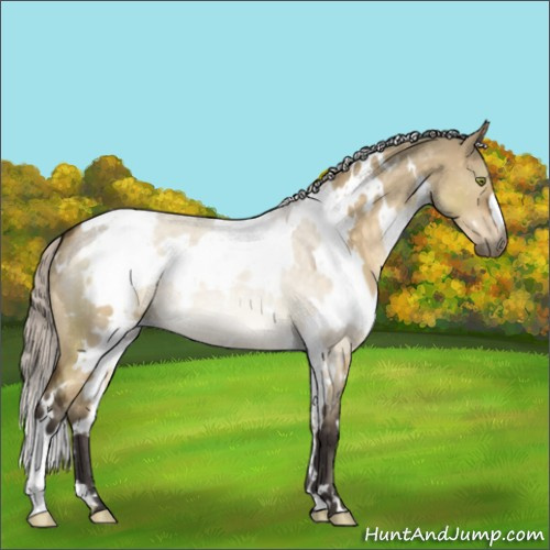 Horse Color:White Spotted Silver Buckskin Dun Mushroom 