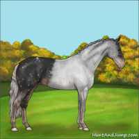 Horse Color:Liver Chestnut Mushroom Snowflake Varnish