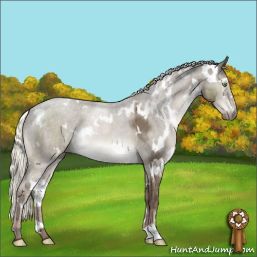 Horse Color:White Spotted Liver Red Dun Mushroom Brindle 