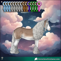 Horse Color:Liver Red Dun Mushroom Splash 