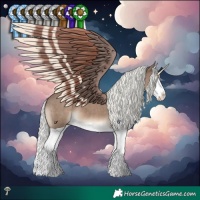 Horse Color:Liver Red Dun Mushroom Splash