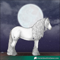 Horse Color:Gray Grullo Chinchilla Sabino Splash Tobiano Blanket