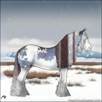 Horse Color:White Spotted Chocolate Brown Chinchilla Dun Splash Brindle