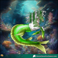 Horse Color:Watercolor White Spotted Brown Tobiano