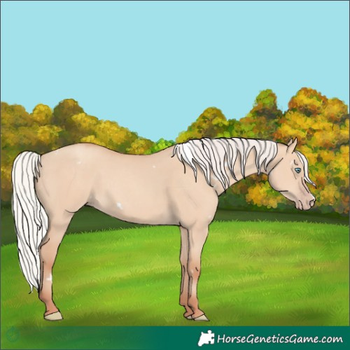 Horse Color:White Spotted Silver Classic Champagne Dun